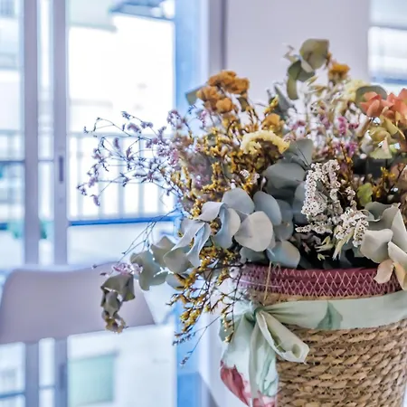 Apartment Apto Lope De Sosa Junto Al Casco Historico & Parking Gratuito